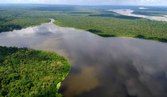 US$ 45 milhões para a Amazônia