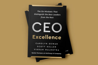 CEO Excellence – The six mindsets that distinguish the best leaders from the rest